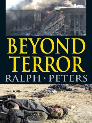 cover image of Beyond Terror